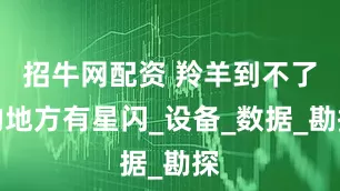 招牛网配资 羚羊到不了的地方有星闪_设备_数据_勘探