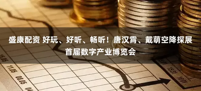 盛康配资 好玩、好听、畅听！唐汉霄、戴萌空降探展首届数字产业博览会